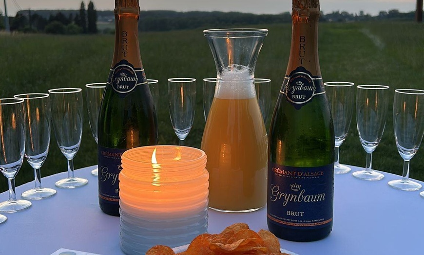 Image 9: Belgique vue du ciel avec Ballonvaarten Dirk Lyssens