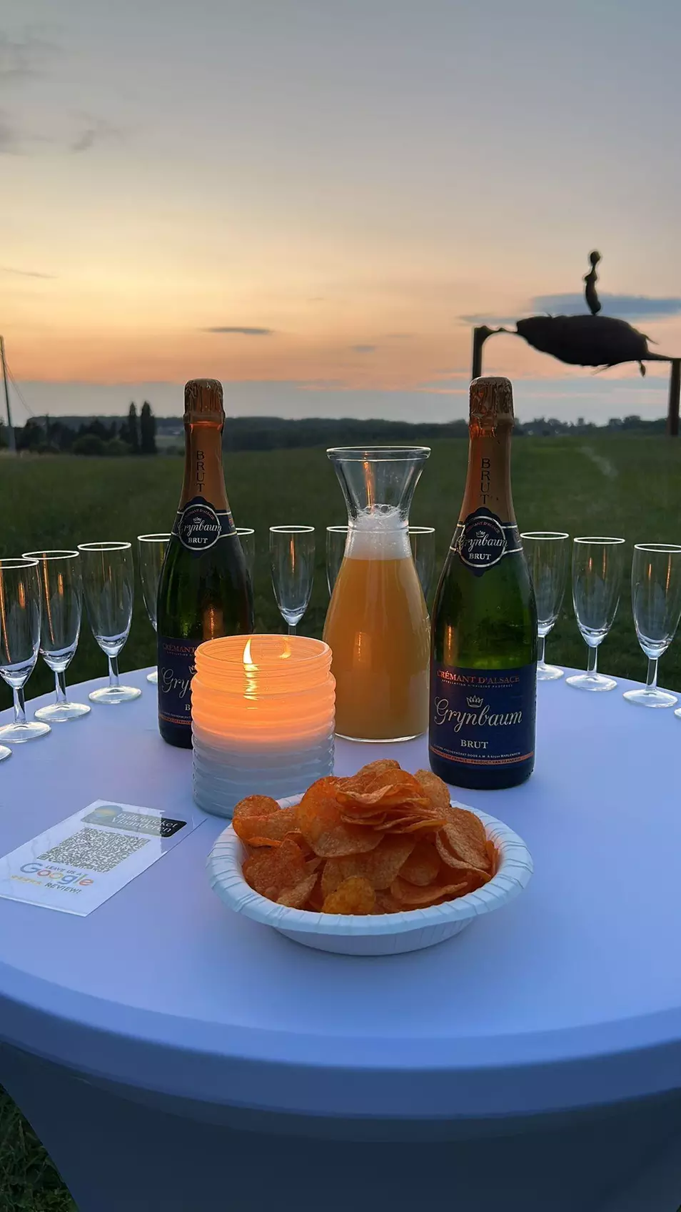 Belgique vue du ciel avec Ballonvaarten Dirk Lyssens