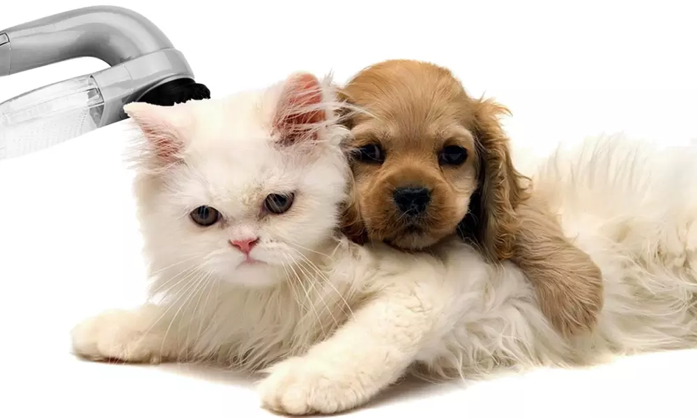 Elektrische stofzuiger dierenharen