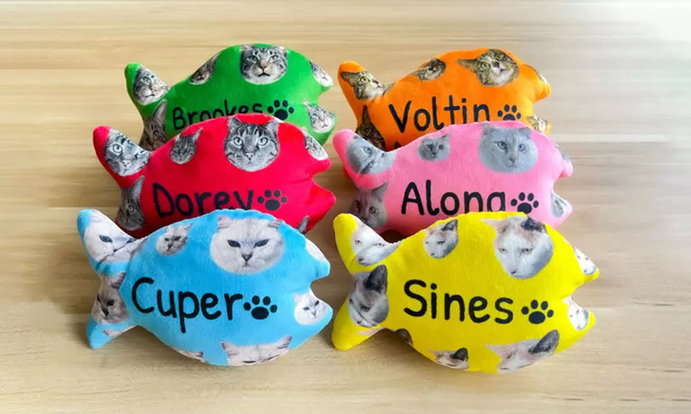 One or Two Custom Pet Toys - Custom Frisbees or Bones Available!
