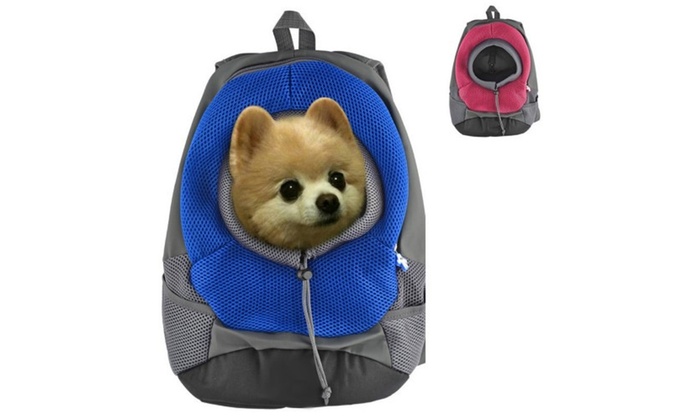 companion picnic backpack