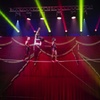 Image 3: Circus Vargas Lakewood