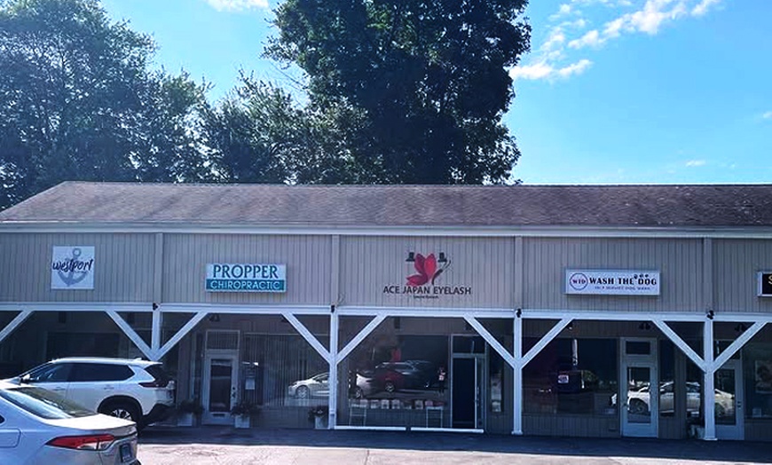 Image 10: Transform Your Look with Acejapan Lash Gel Tint