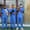 Image 2: Dental Care for Cats or Dogs