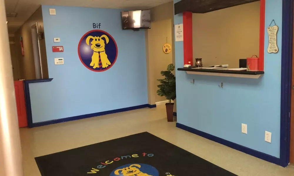 Full Service or Doodle/Poodle Full Service Grooming Package for Dogs!