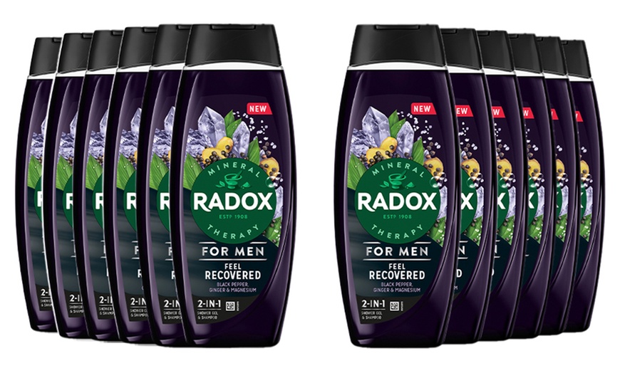 Image 15: Radox Mineral Therapy 2in1 Shower Gel and Shampoo 450ml