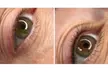 Effortless Glam: One Permanent Powder Eyebrow or  Lip Tattoo Session at Mimo Studio - up to 67% off - Second Medium