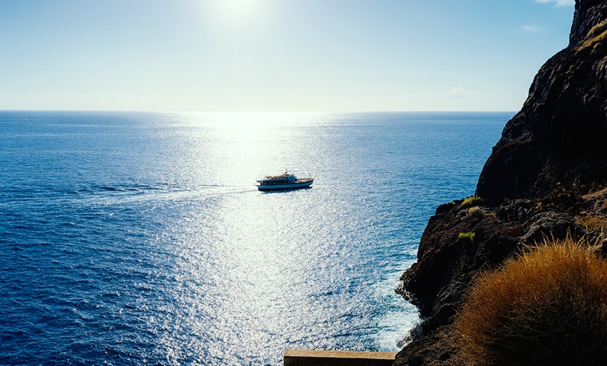 Image 2: Excursión de 4 horas en barco para avistar ballenas y delfines