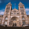 Image 1: Explore the Natural History Museum - Adult & Child Tours!