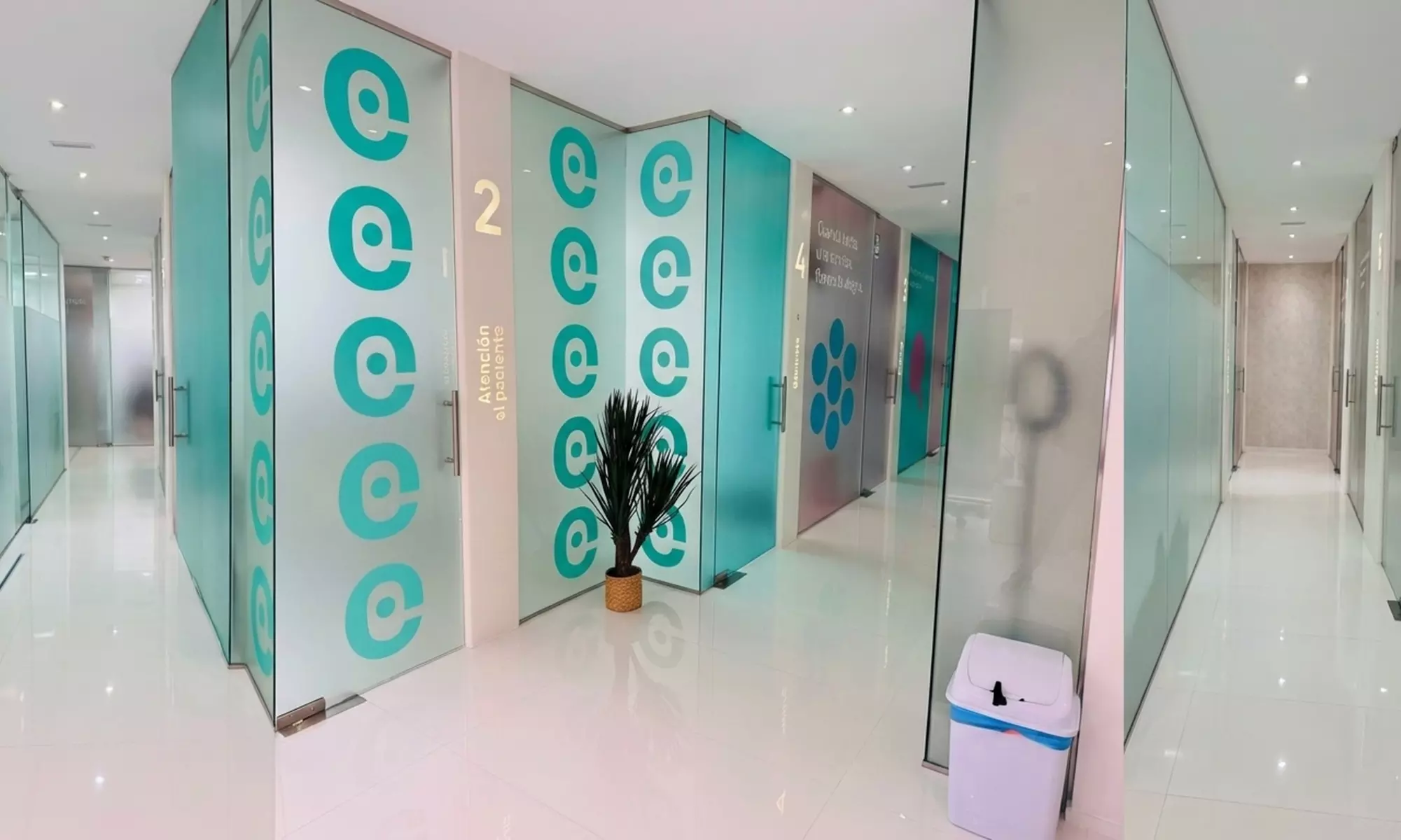 Limpieza bucal con diagnostico y revisión con opción a blanquamiento