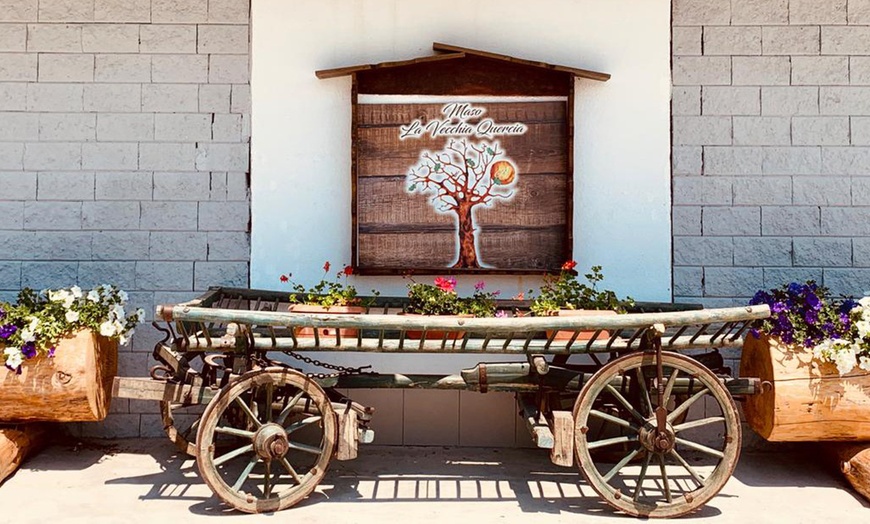 Image 7: Trento: camera matrimoniale con colazione o mezza pensione per 2