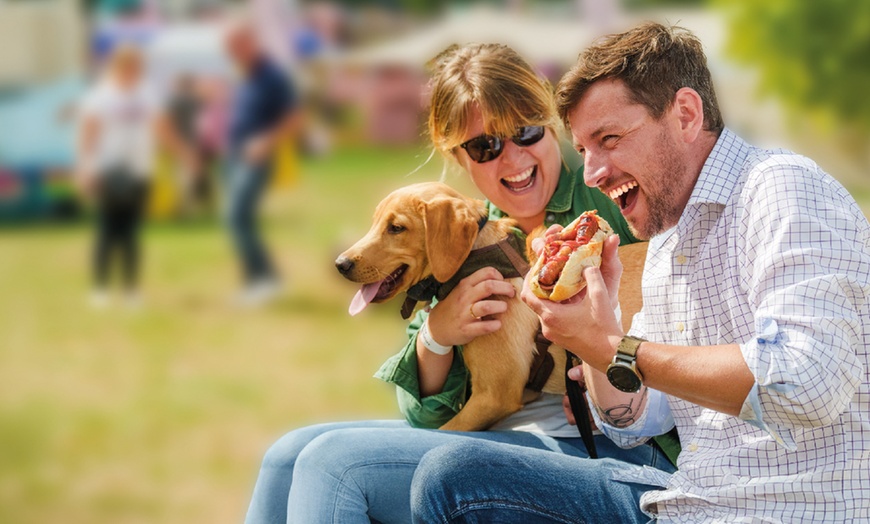 Image 10: DogFest 2025 | Your Favorite Dog-Friendly Festival 