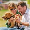 Image 10: DogFest 2025 | Your Favorite Dog-Friendly Festival 