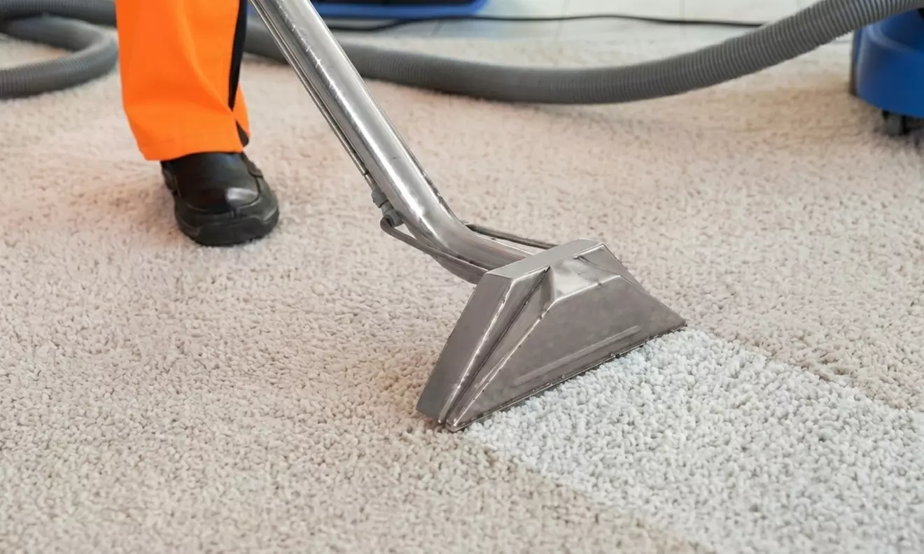 Revitalize Your Home with Carpet Cleaning for Multiple Rooms