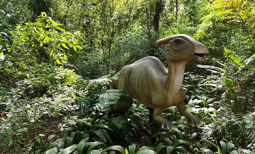 Image 19: Member-Only Deal: Blue River Resort & Hot Springs