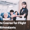 Image 2: Complete Course for Flight Attendants or Aviation Training Course