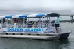 Hilton Head Island Tour w/ Insightful Stories from Captain, Dolphins & Other Wildlife in their Natural Habitat - Second Medium