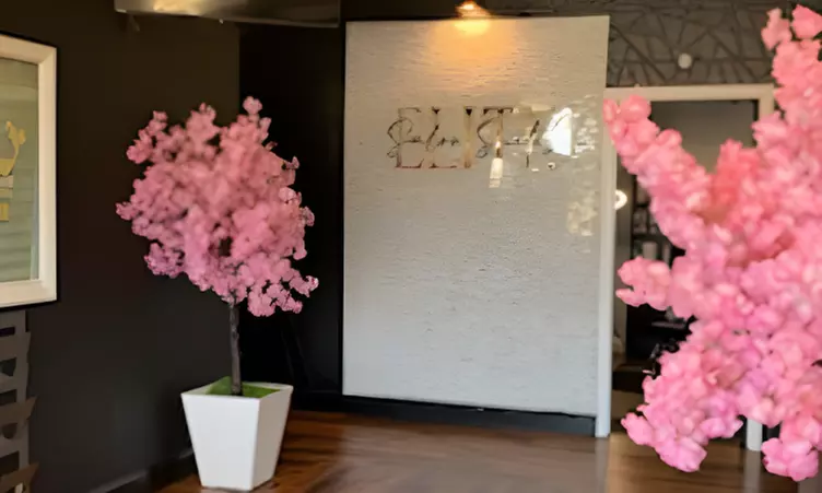 Sisterlocks or Microlocs Consultation, Shampoo & Retightening Refresh