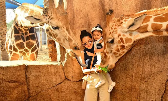 Unleash Adventure: Zoo Entrance + 2 Exciting Activities for 1 or 2!