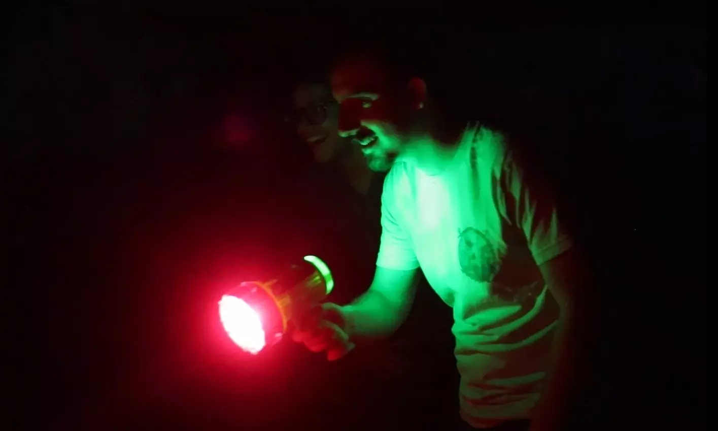 35% Off Lights On: A Nighttime Art Experience at Brevard Zoo