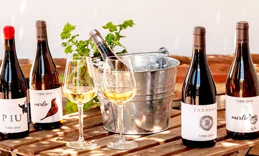 Image 1: Visita a bodega de 1 hora y media con cata de vino para 2 o 4 personas