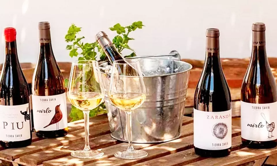 Visita a bodega de 1 hora y media con cata de vino para 2 o 4 personas