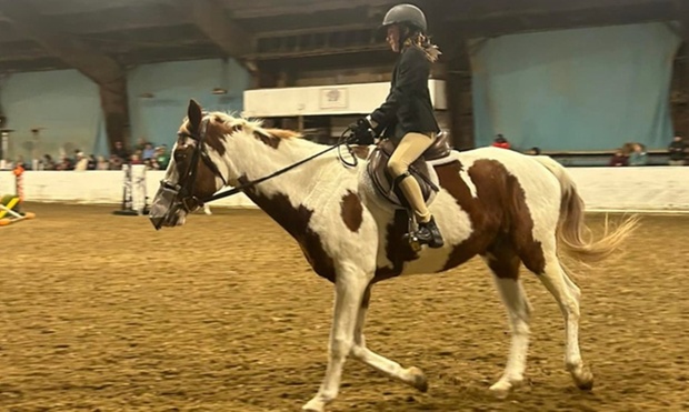 What to expect media