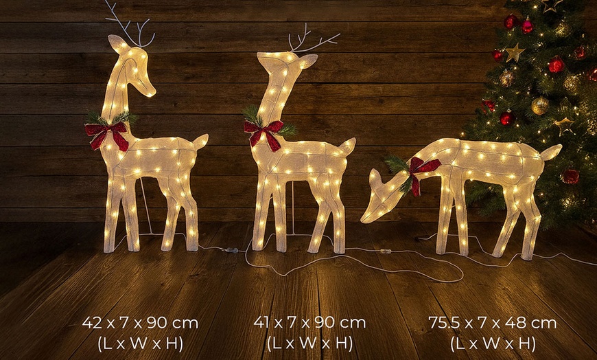 Image 3: Neo Set of 3 LED Lighted Reindeer Christmas Decorations