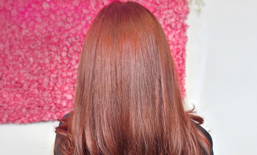Image 4: Single Roots Touch Up with Style, Partial Highlights, Haircut & More