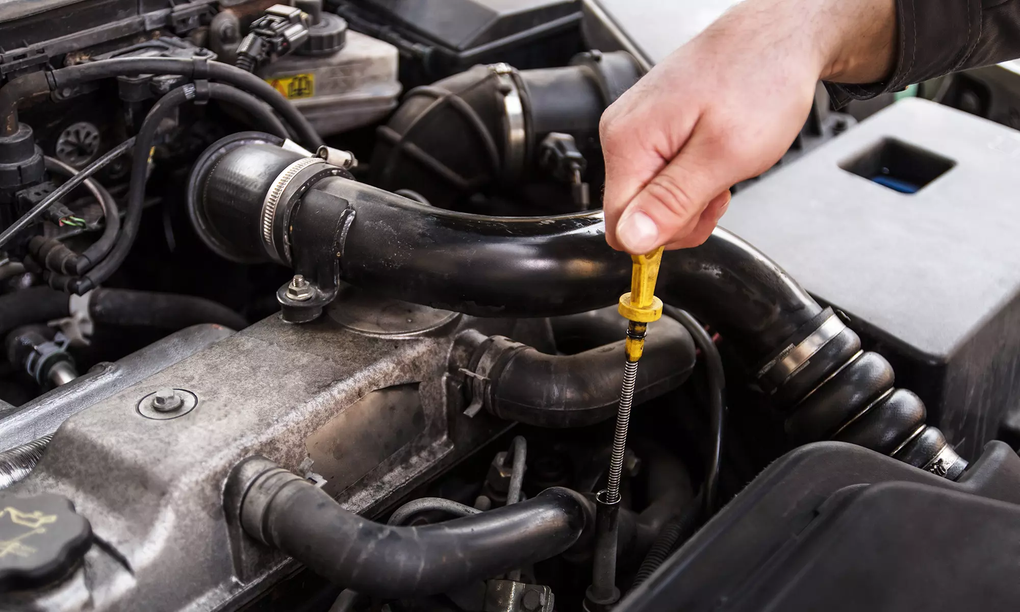 Daniel Auto Clinic II: One Full Synthetic / One Synthetic Blend Oil Change w/ Filter Replacement (Up to 44% Off) - Primary Image