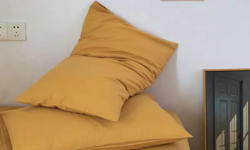 Pure Cotton 2 Piece Pillowcase Set