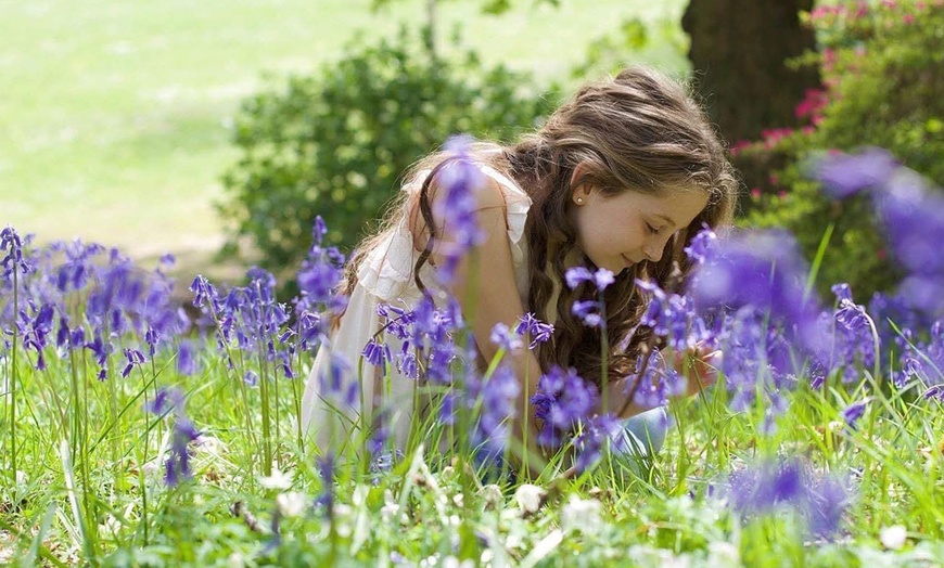 Image 14: Capture Family Magic with a Local Photoshoot in Swansea!