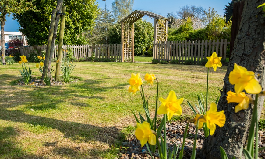 Image 3: Festive Afternoon or Sparkling Tea for Up to 4 Guests by Delta Hotels