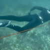Image 4: Up to 36% Off on Spearfishing at Just Get Wet
