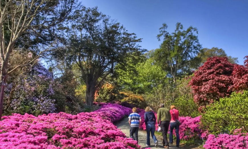Image 8: ✈ 8-Day Ireland Trip w/ Hotels & Air from Great Value Vacations