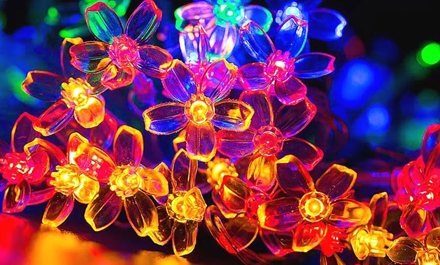 Image 5: 1 ou 2 guirlandes lumineuses à énergie solaire en forme de fleurs