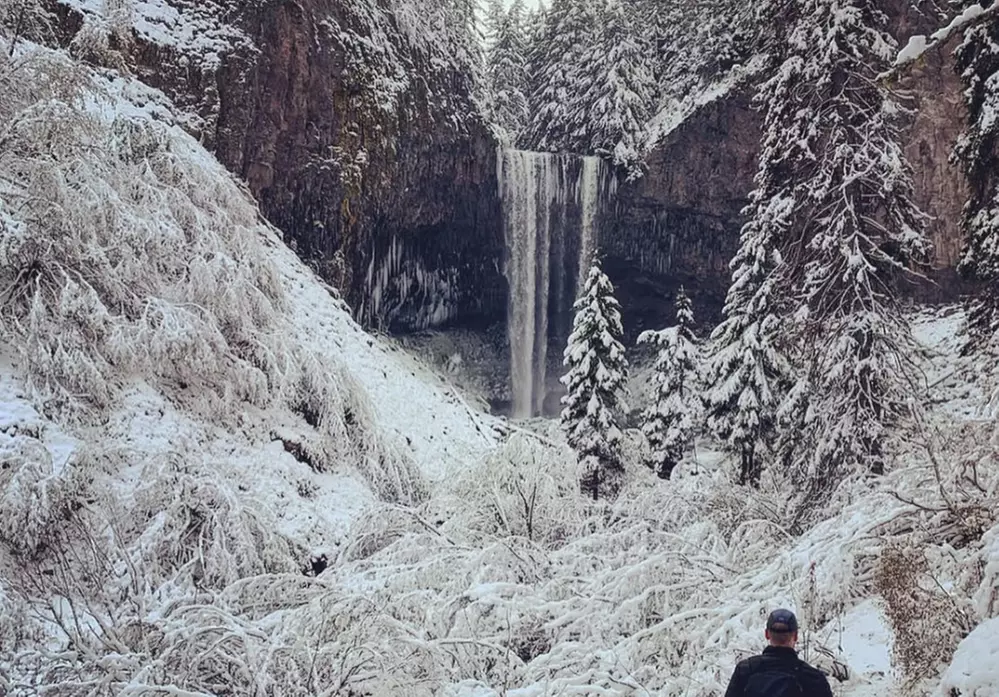 Guided Snowshoeing in Mt St Helens or Mt. Hood for 4 Hours