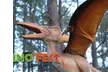 Dino Fest, Lakeside Zipline & Aerial Obstacles at Stone Mountain Park (Save up to 53%) - Image 2