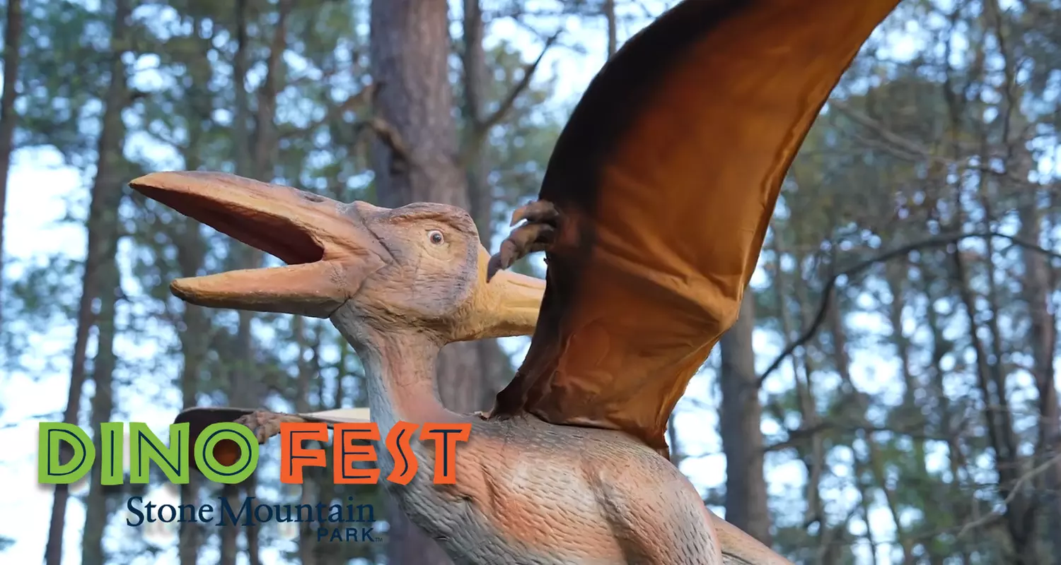 Lakeside Zipline, Aerial Obstacles & Dino Fest at Stone Mountain Park (Save up to 50%)