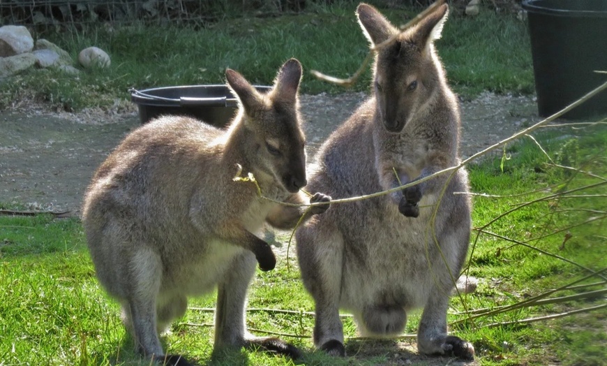 Image 19: Enjoy Family fun with Entry Tickets for Adults and Childrens