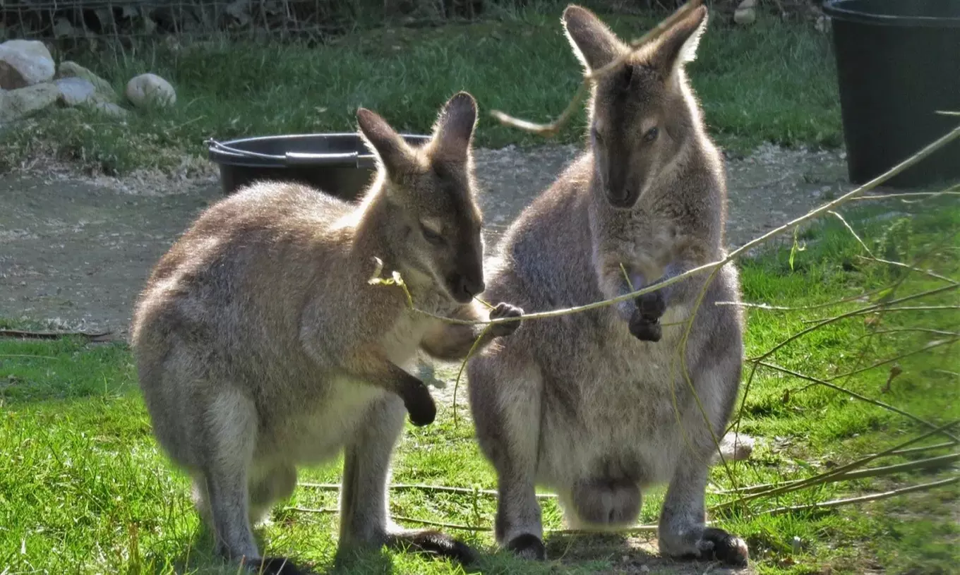 Enjoy Family fun with Entry Tickets for Adults and Childrens