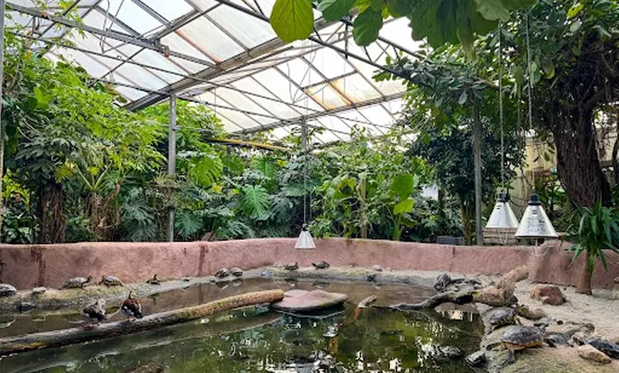 Image 5: Entreeticket Dierenpark Almere Jungle + hapje en drankje