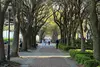 Charleston History & Architecture Guided Walking Tour