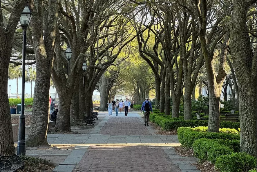 Charleston History & Architecture Guided Walking Tour