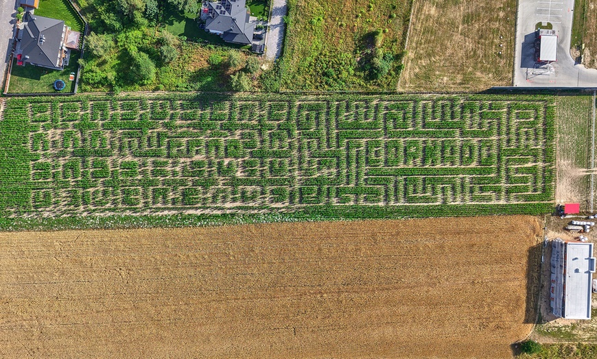 Image 2: Czas na zabawę: wejście do wielkiego labiryntu kukurydzy dla 1-8 osób
