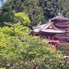 Image 10: Guided Golden Gate Park Walking Tour w/ California Academy of Sciences