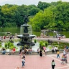 Image 3: Explore Central Park with a 1 or 2 Hour PediCab Guided Tour