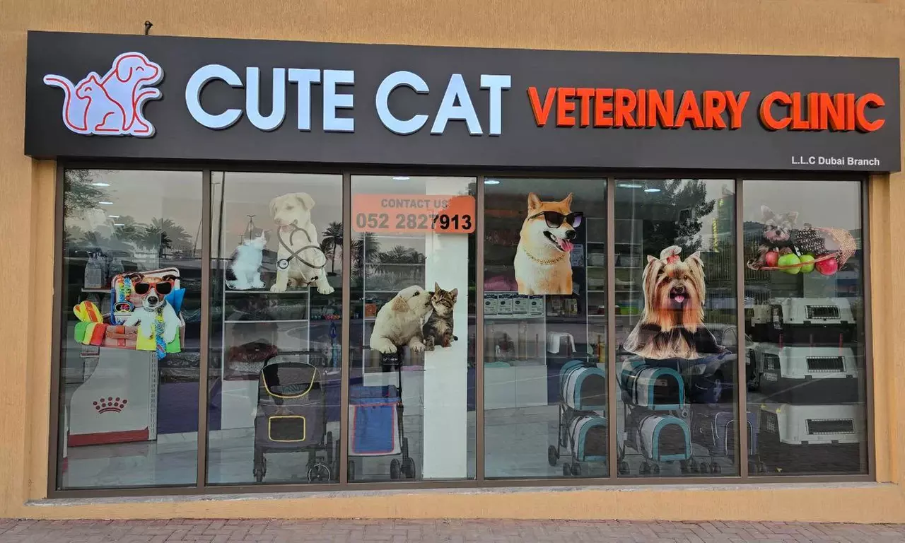 Female Cat Spaying Up to or Above 20 Kg, Male Dog Castration & More