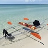 Image 2: 37% Off Clear Kayak Picnic Adventure - Night Glow Adventures