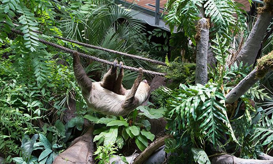Image 4: Granada: 1 o 2 noches con desayuno y entrada al Parque de las Ciencias